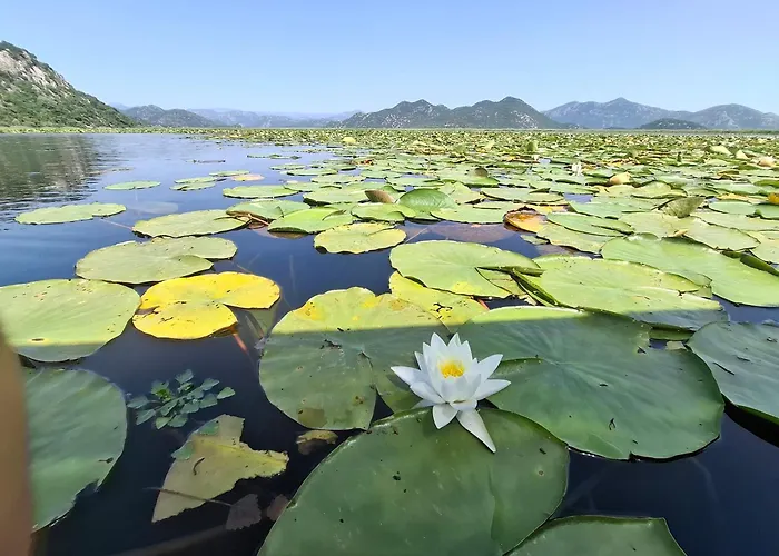 Apartment Dapcevic Skadar Lake