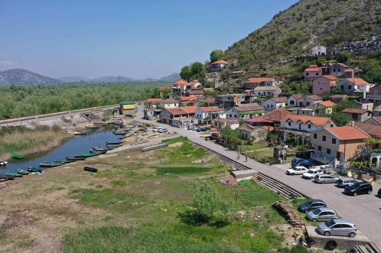 Daire Dapcevic Skadar *