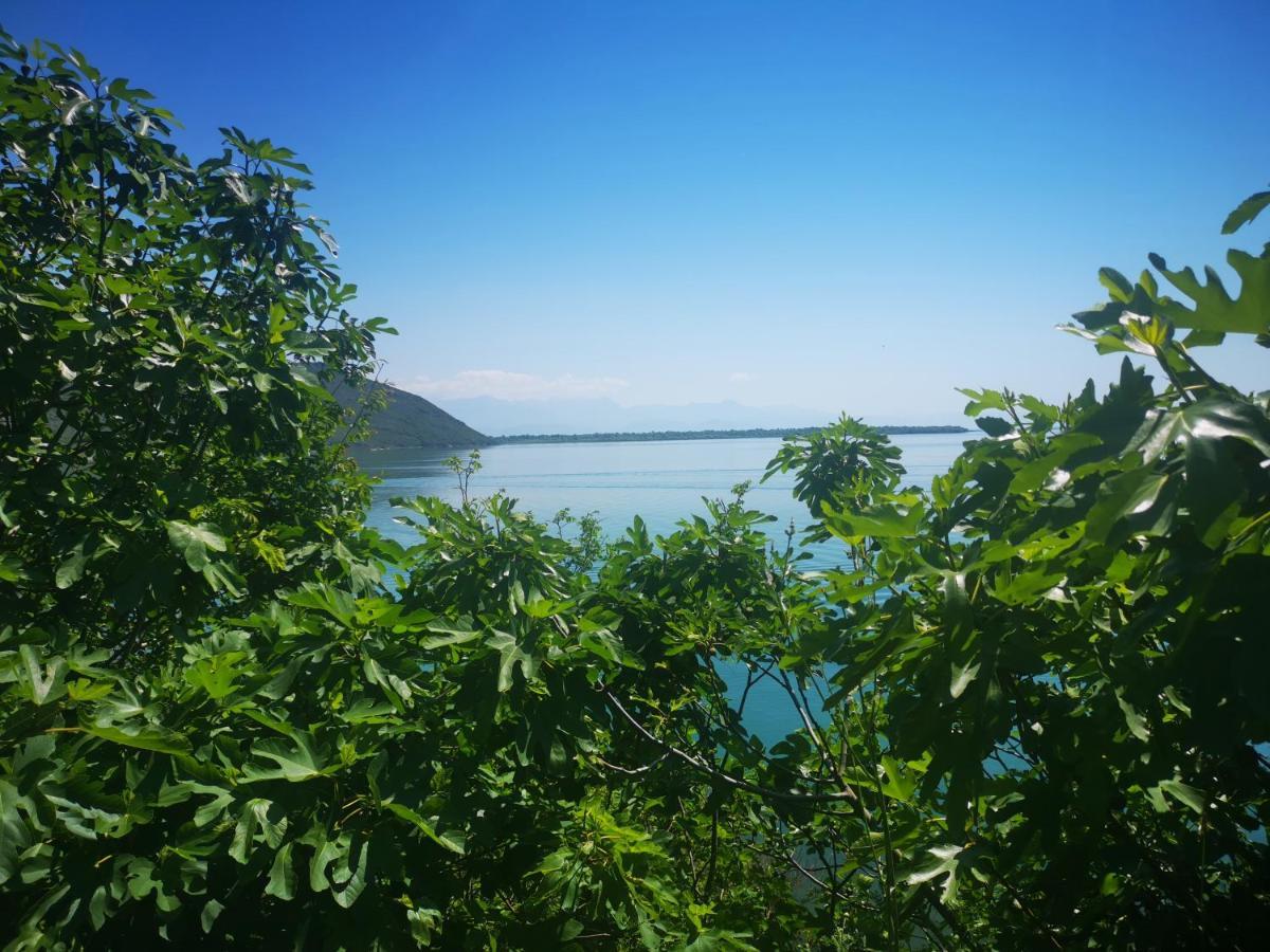 Dapcevic Skadar Daire Vranjina