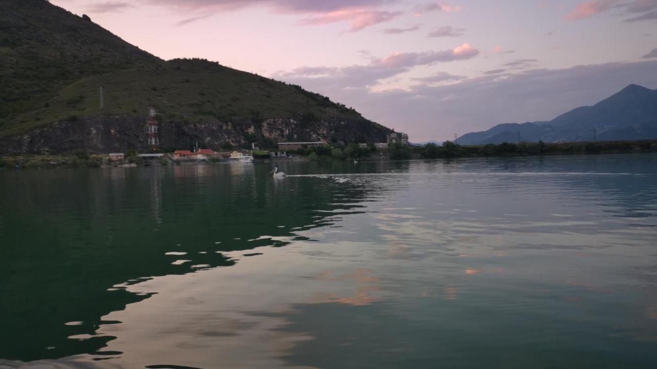 Daire Dapcevic Skadar Vranjina
