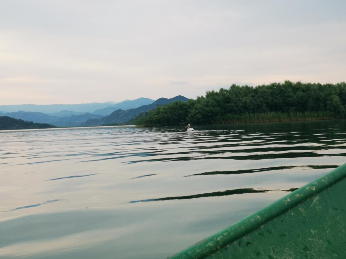 Dapcevic Skadar Daire