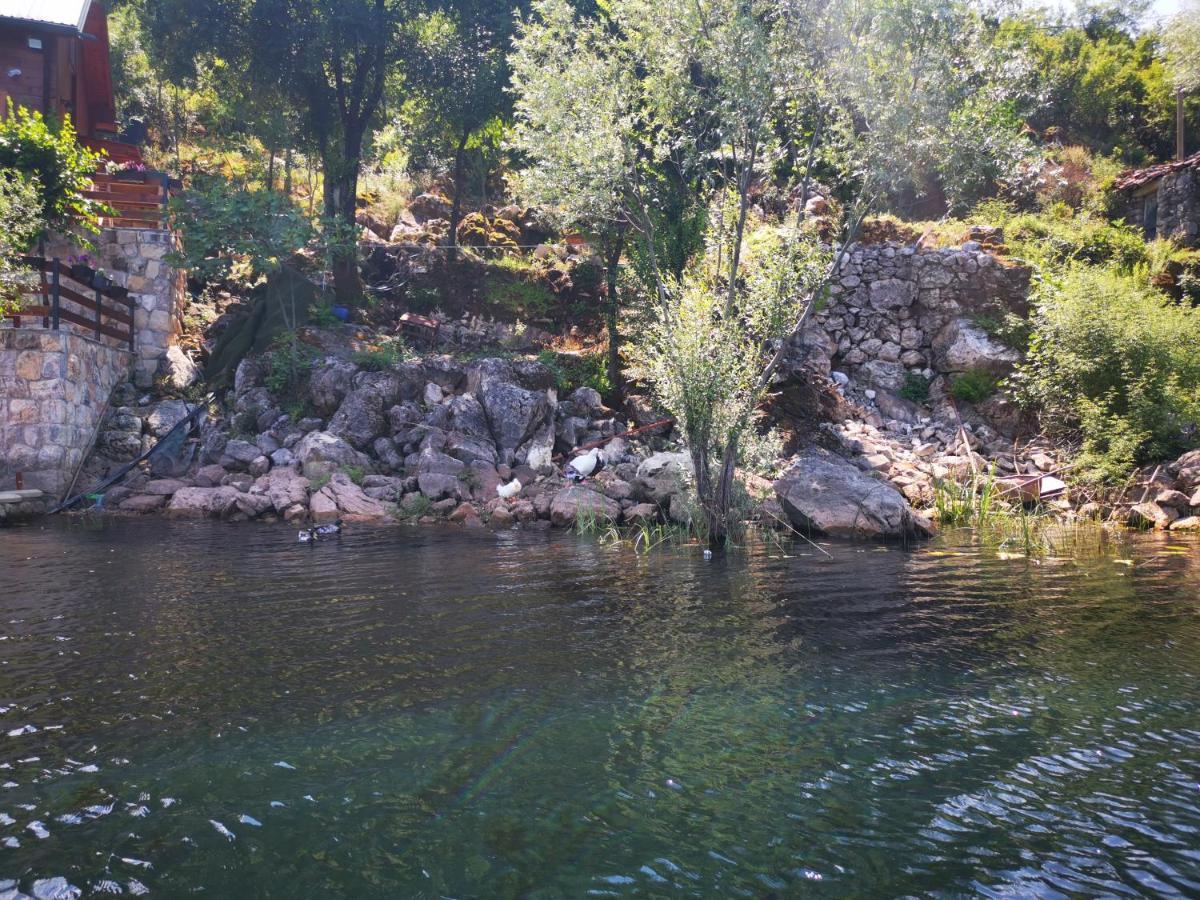 דירה Dapcevic Skadar *