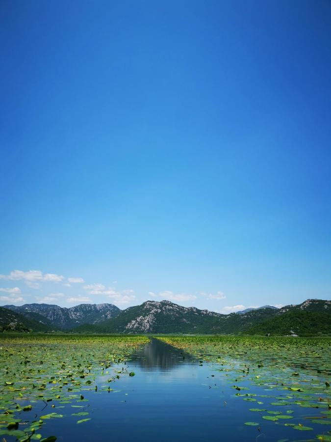 Dapcevic Skadar