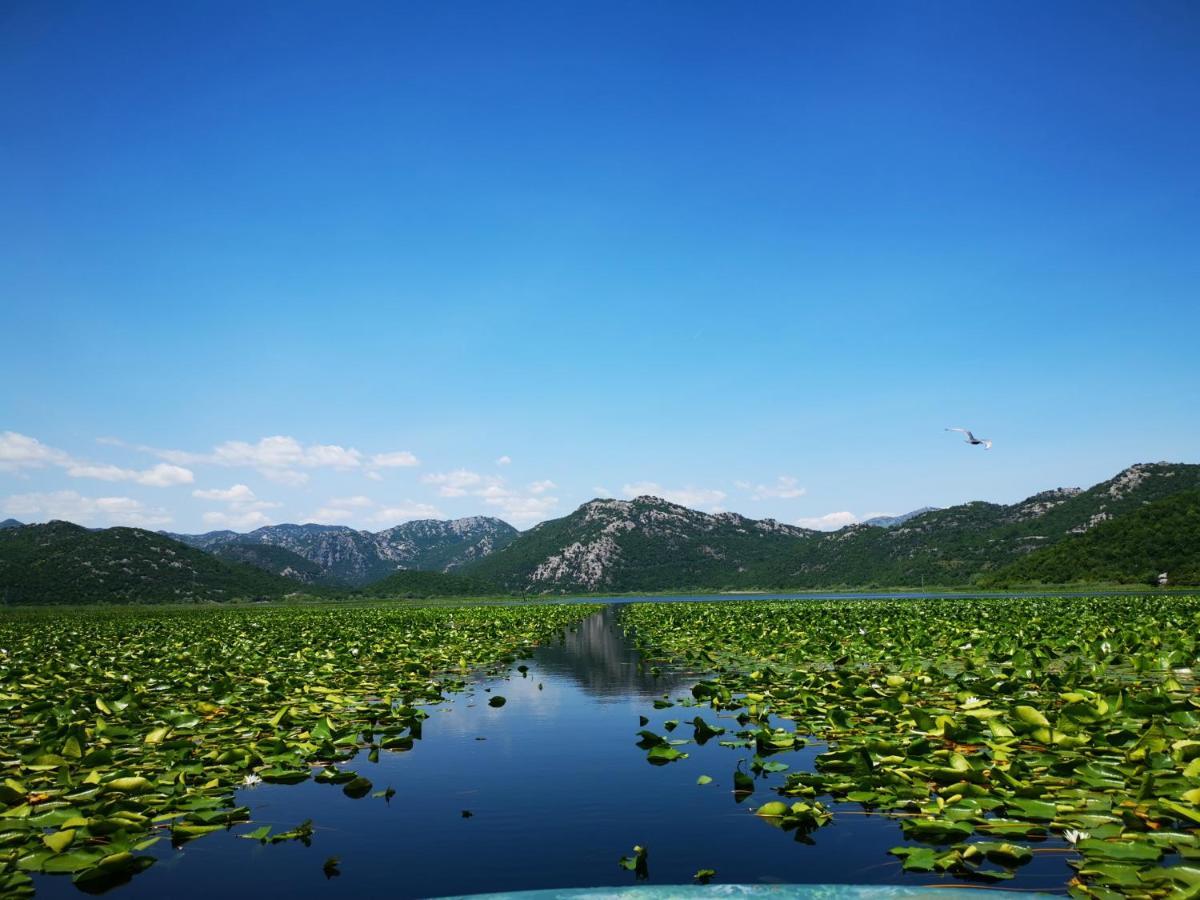 Dapcevic Skadar * Vranjina