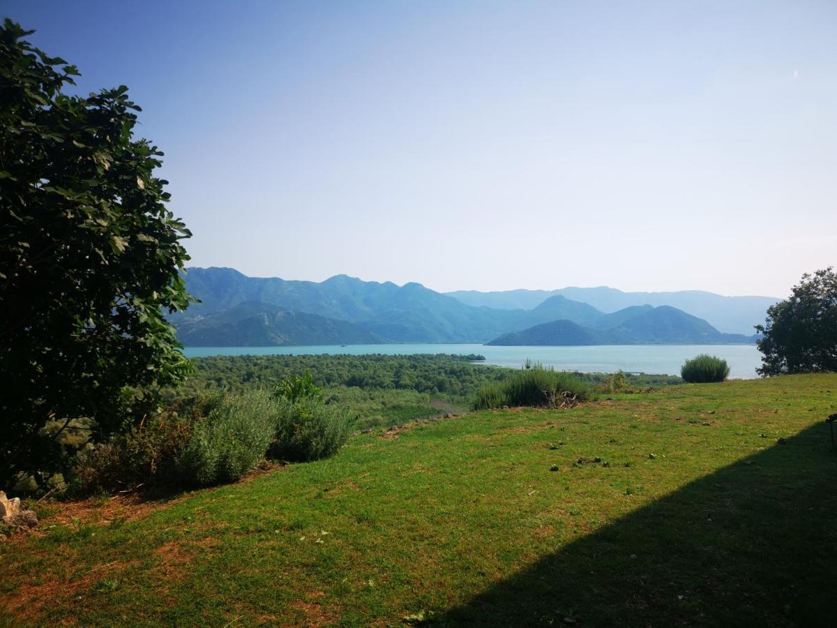 Daire Dapcevic Skadar Vranjina