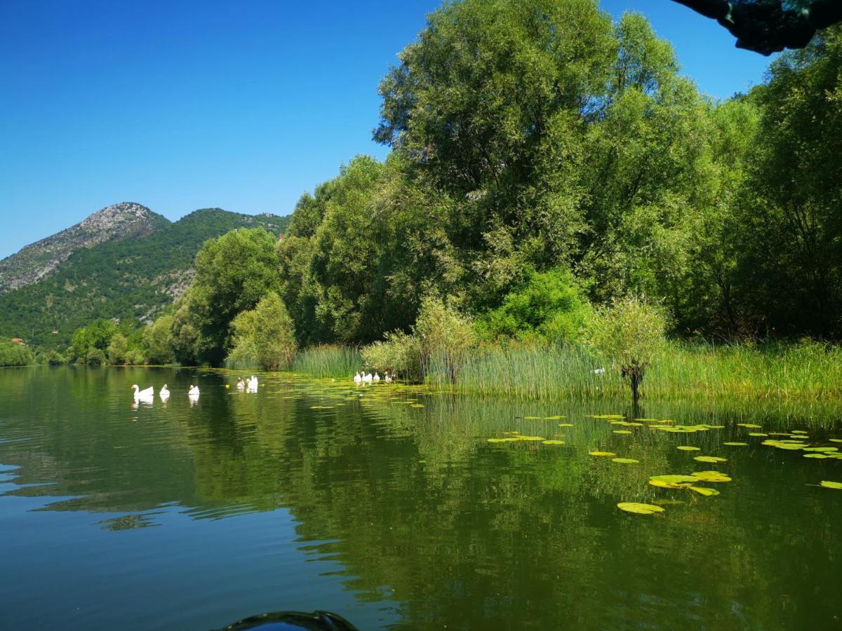 Dapcevic Skadar