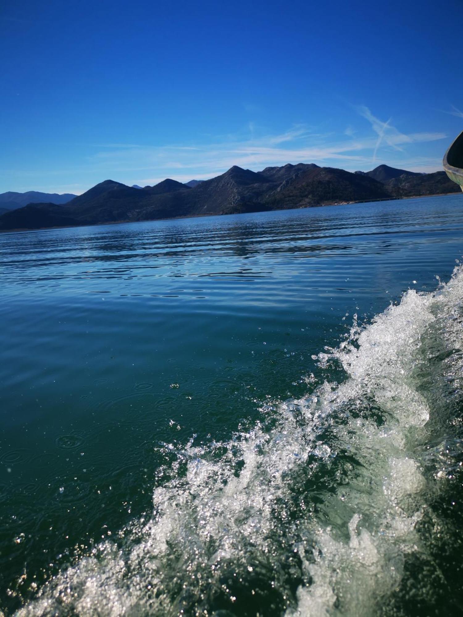 Dapcevic Skadar Daire