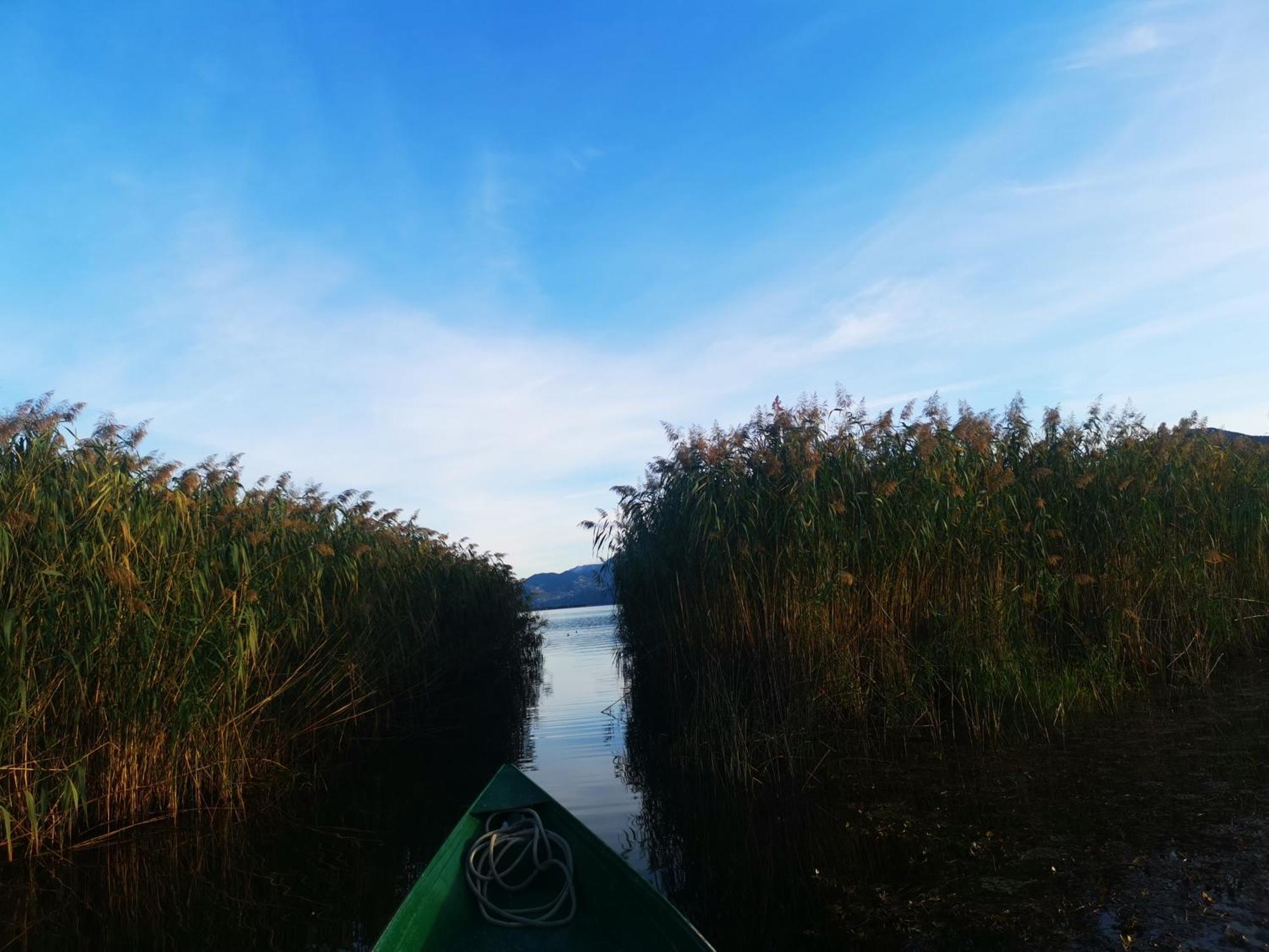 Dapcevic Skadar