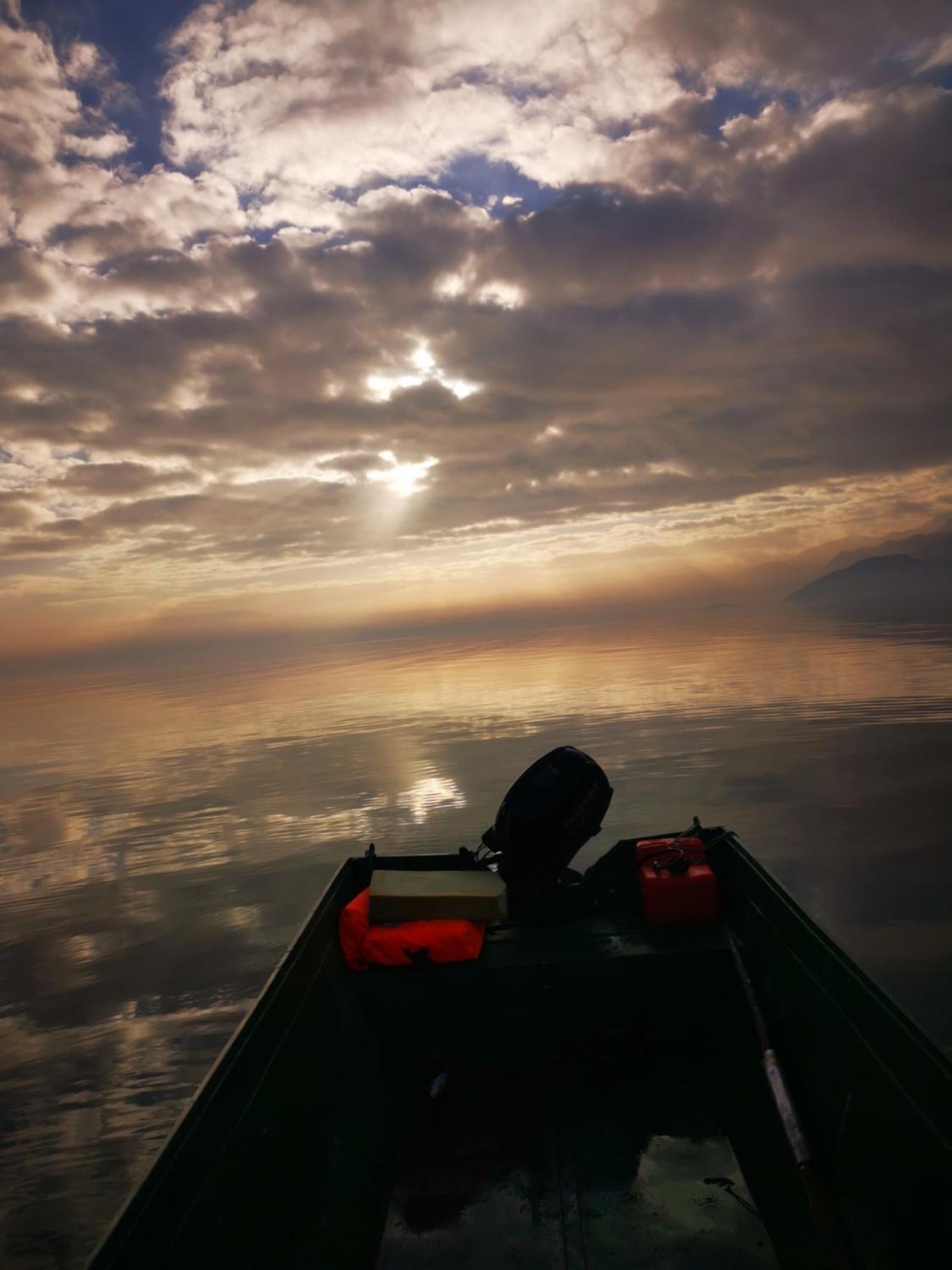 Dapcevic Skadar *