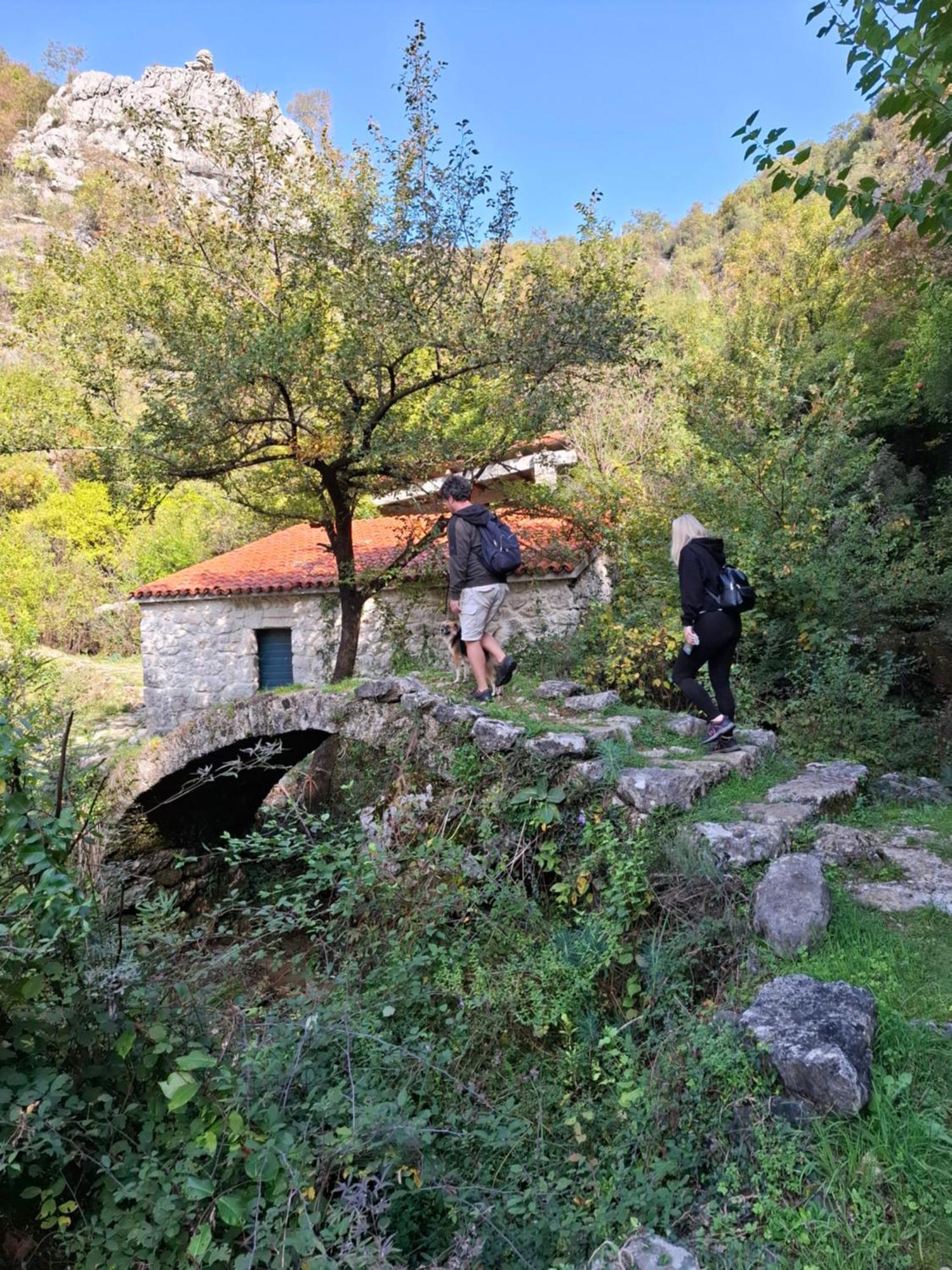 דירה Dapcevic Skadar