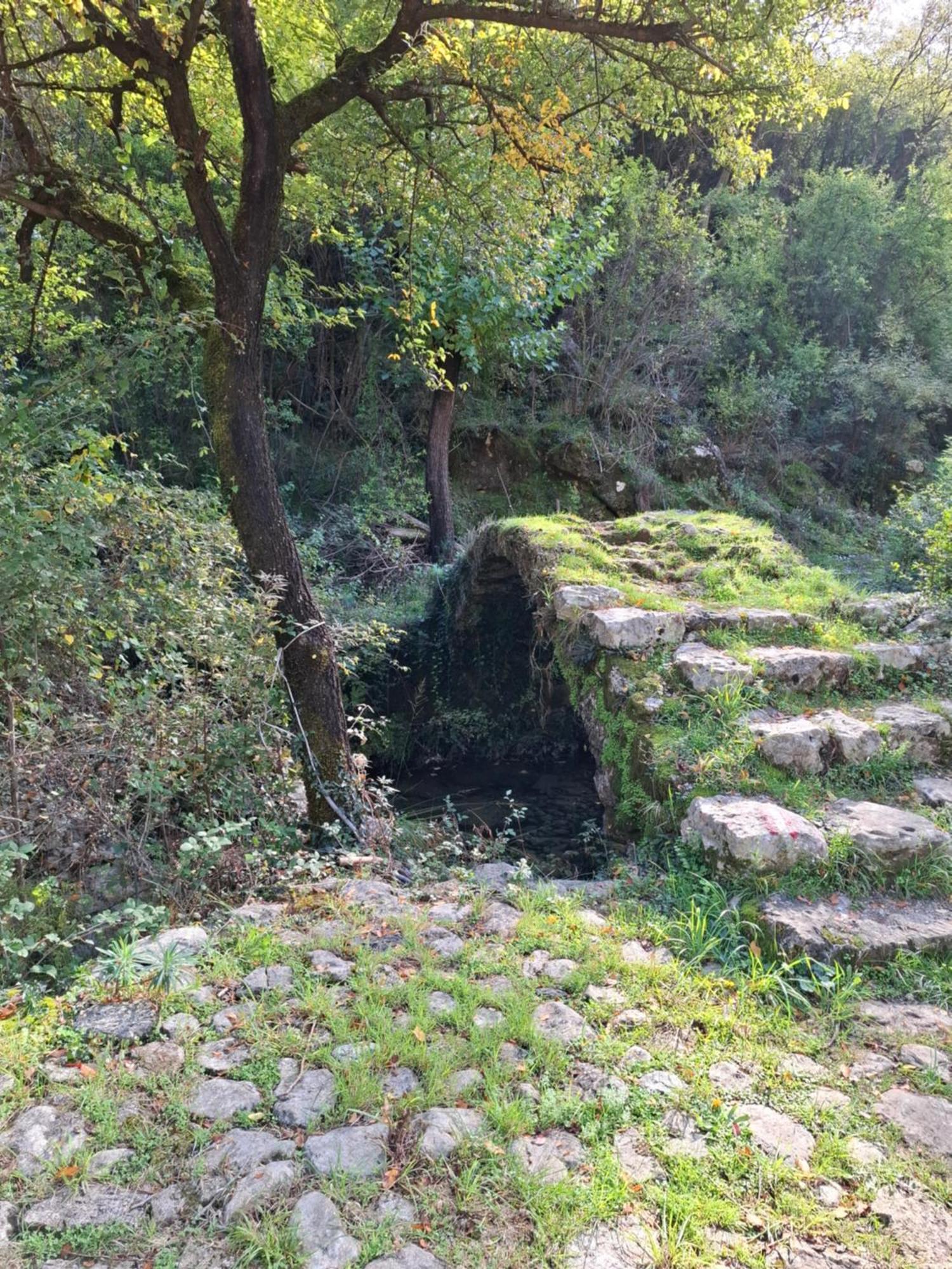 Dapcevic Skadar